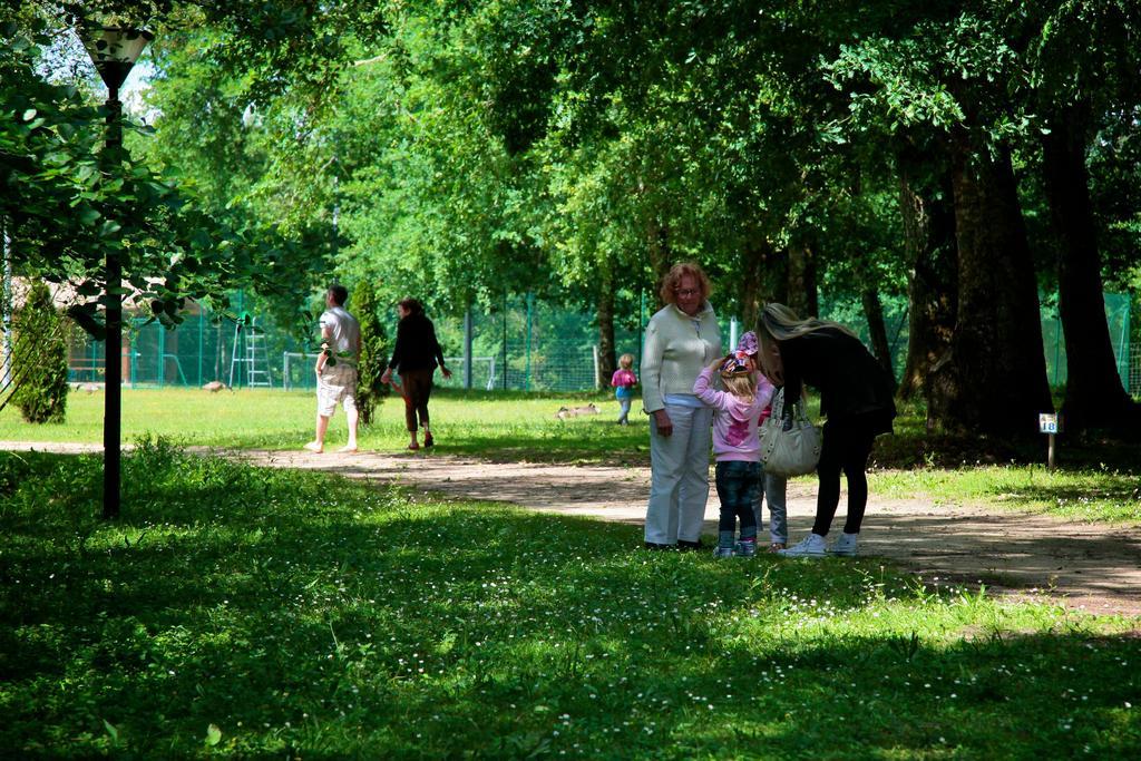 Domaine Du Roi Kysmar Otel Villandraut Dış mekan fotoğraf